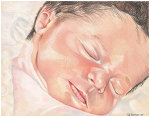 Colored pencil drawing entitled Penelope